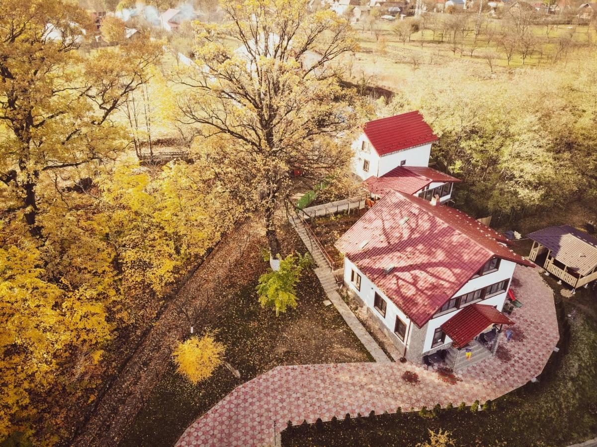 Stejarul Lui Andrei Hotel Izvoarele  Exterior photo